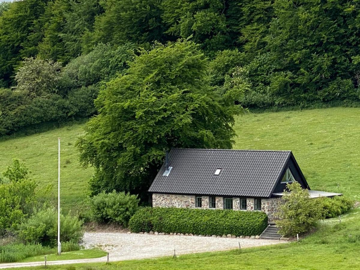 Stenhuset I Pilbrodalen Skanderborg Zewnętrze zdjęcie